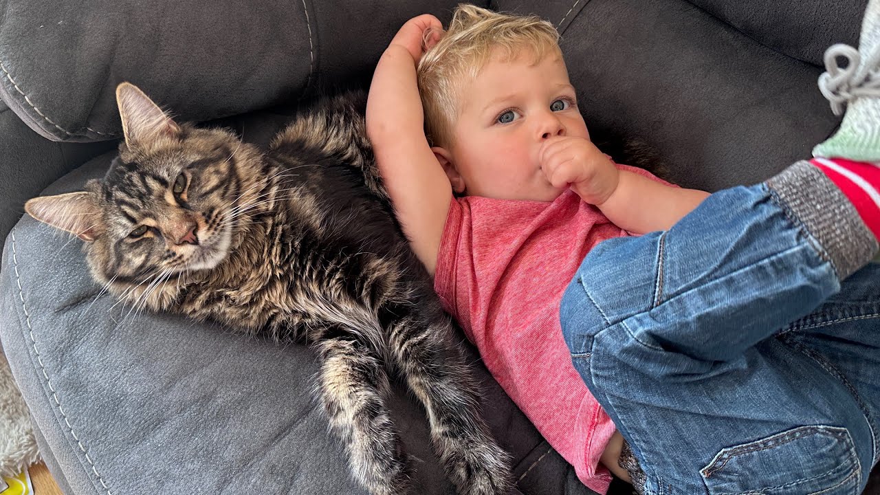 Protective Cat Adopts Baby Boy As His Own! (Cutest Ever!!)
