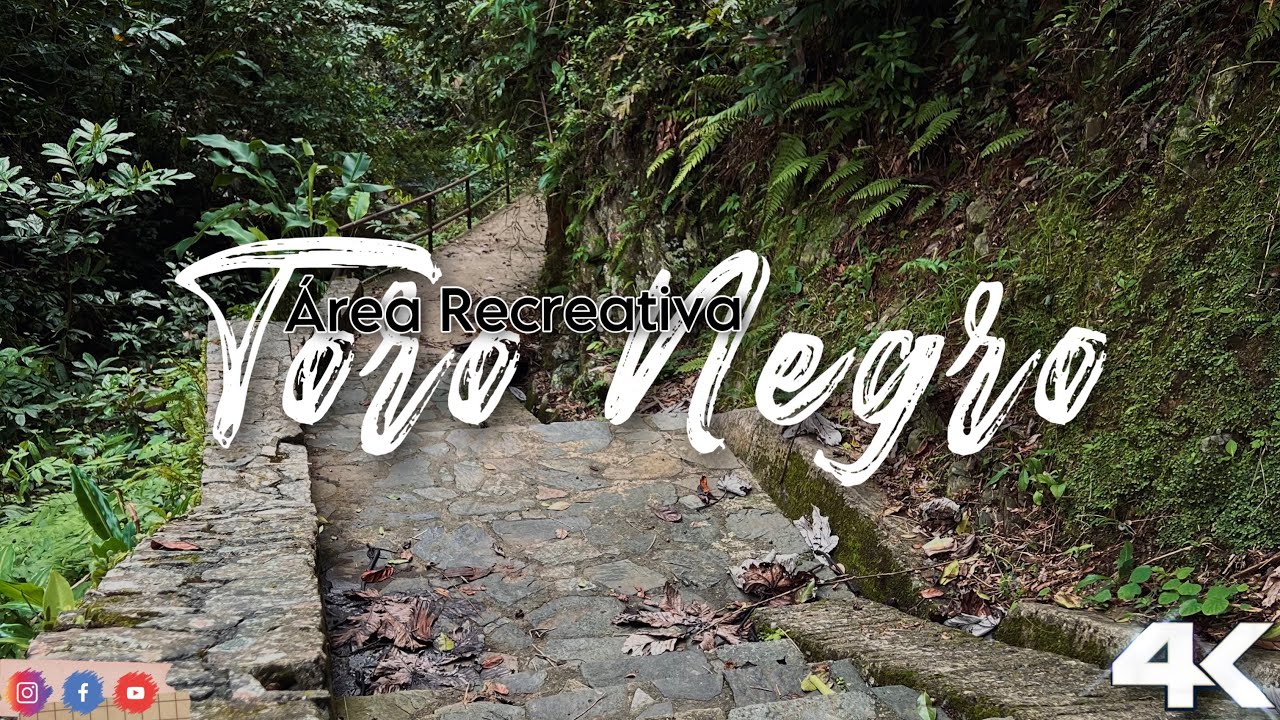 Bosque Estatal Toro Negro (Área Recreativa) | Orocovis Puerto Rico🇵🇷