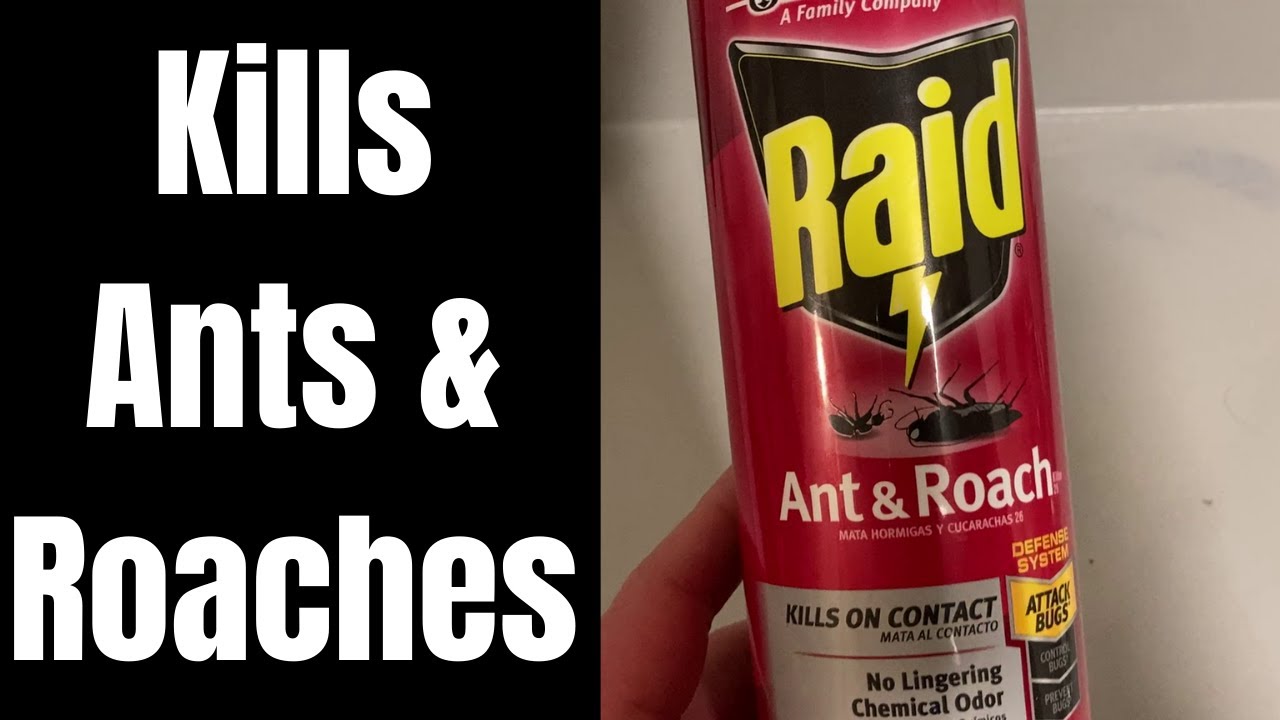Raid Ant & Roach Spray