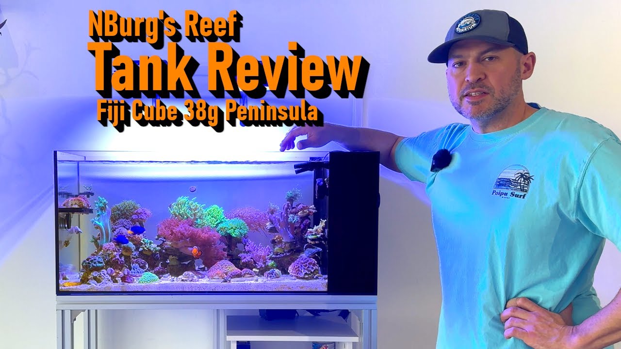 Fiji Cube 38 Gallon Peninsula Aquarium Review