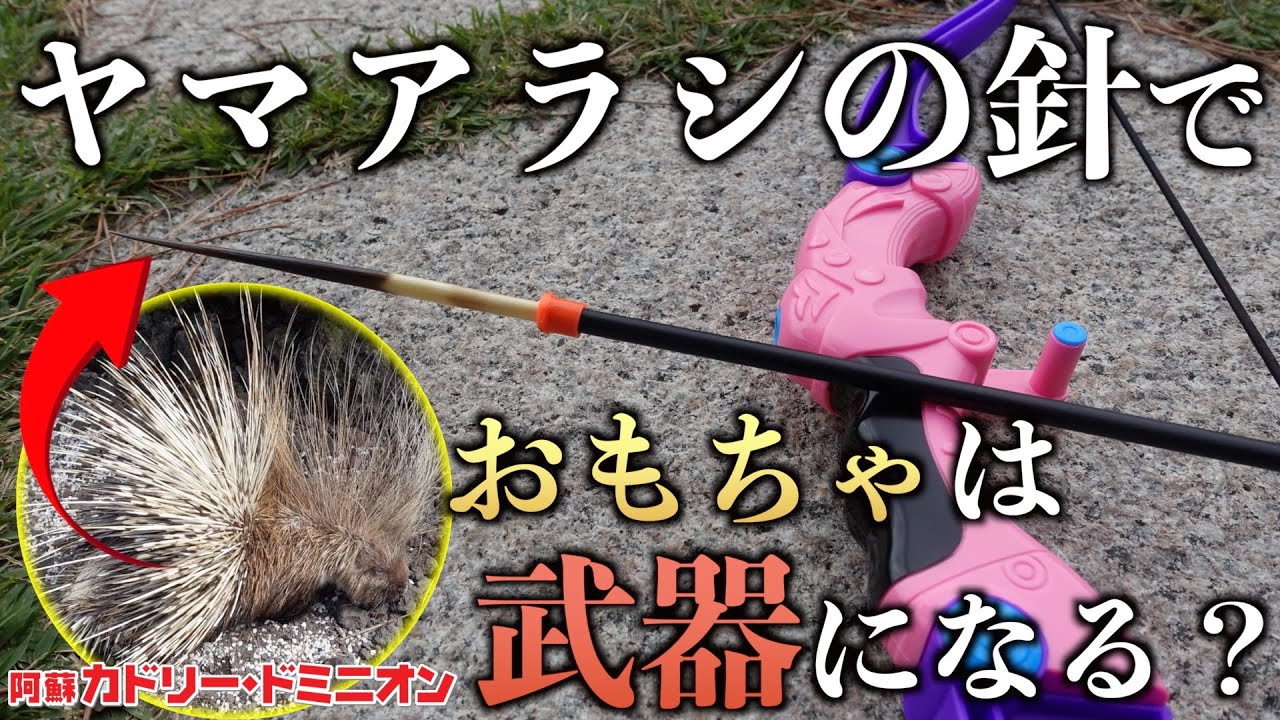 飼育員がヤマアラシの針でおもちゃを魔改造したら威力がすごかった…