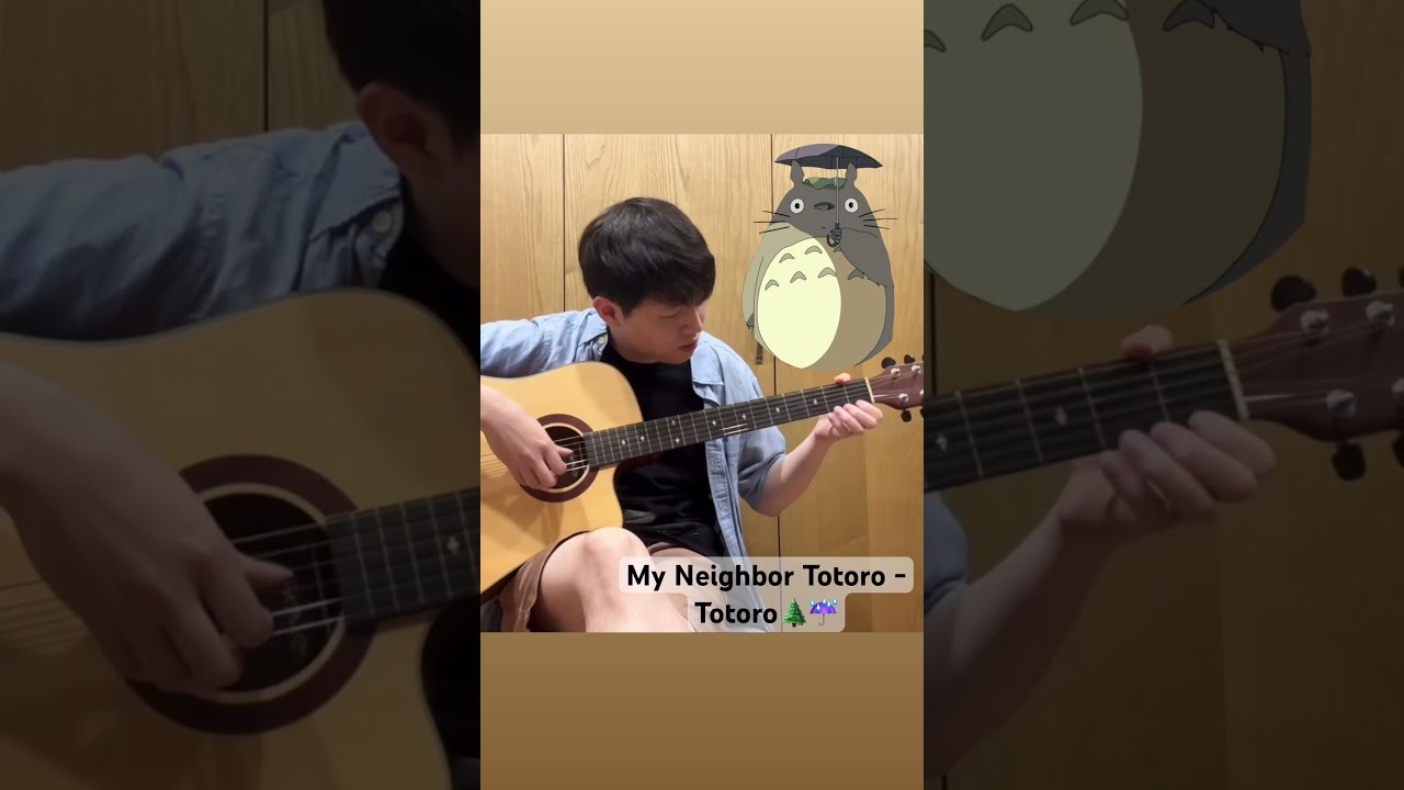 My Neighbor Totoro - Totoro / fingerstyle guitar cover《龍貓》主題曲 🌲☔️#fingerstyle