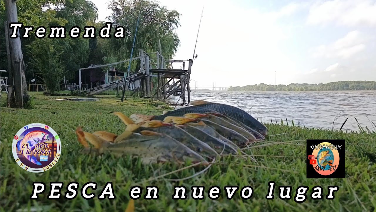 PESCA y COCINA en un nuevo Pesquero, Tremendo lo que se pesca en ese lugar 💥