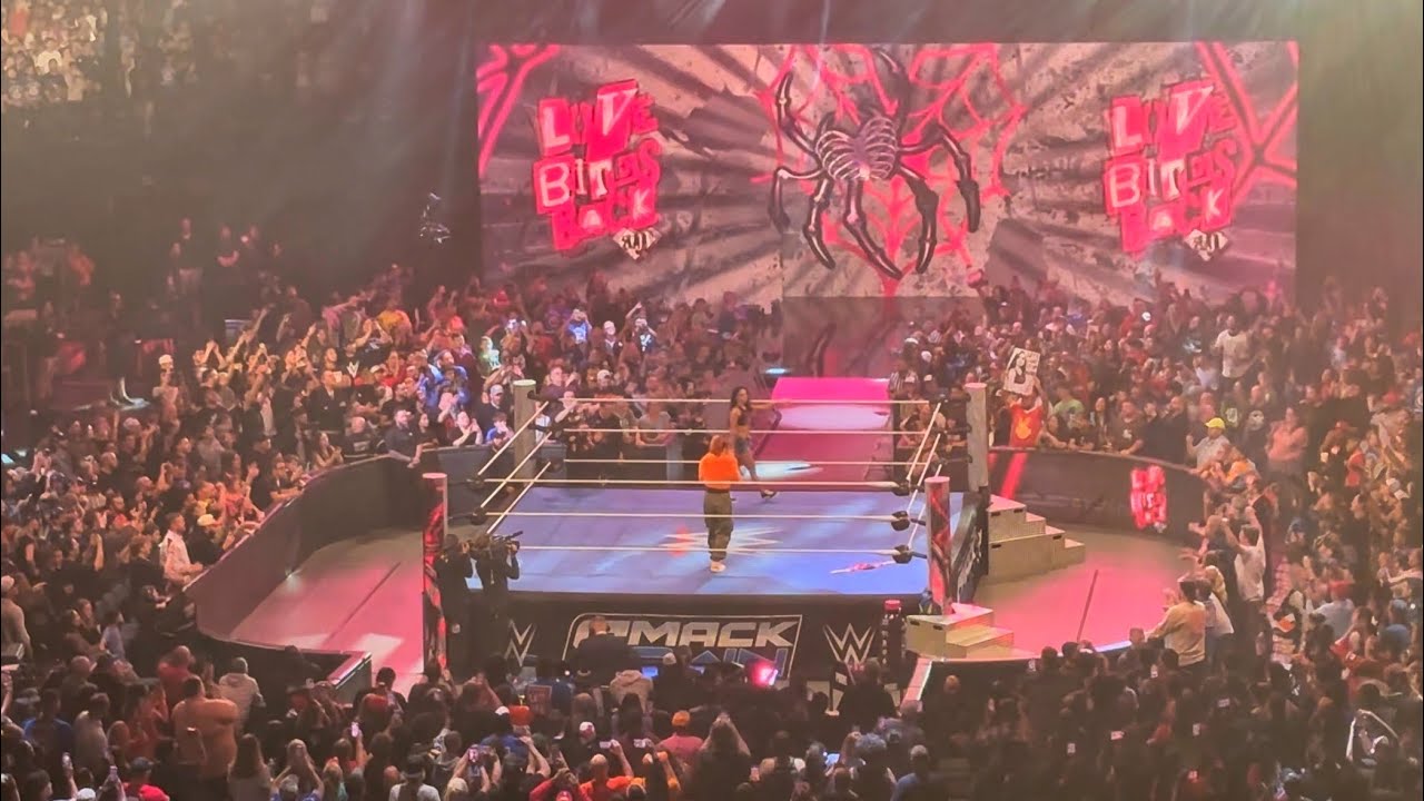 AJ LEE RETURNS LIVE WWE SMACKDOWN CHICAGO