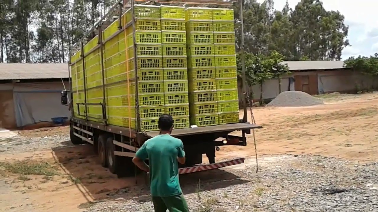 caminhao de frango da gtfoods 🐓🐓🐓🐓🐓🐓