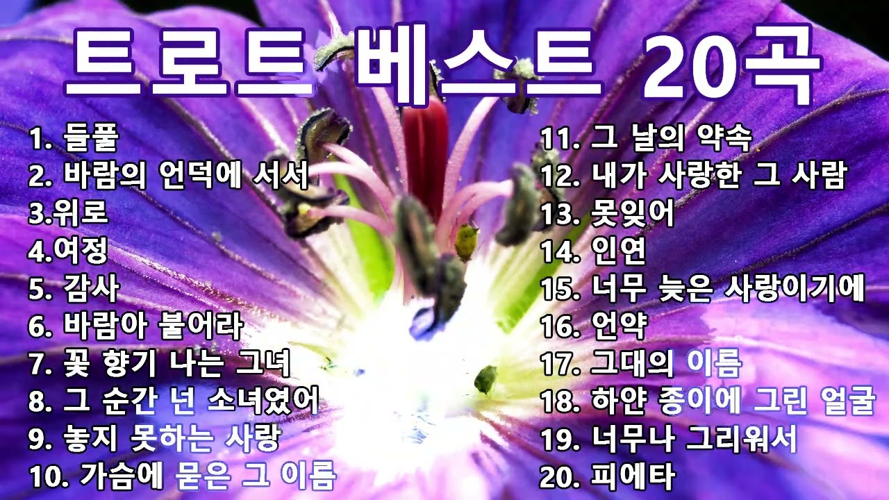 트로트 베스트 20곡 | 하루 종일 듣기 좋은 노래 모음 Trot Music Collection | Best 20 Korean Trot🌶