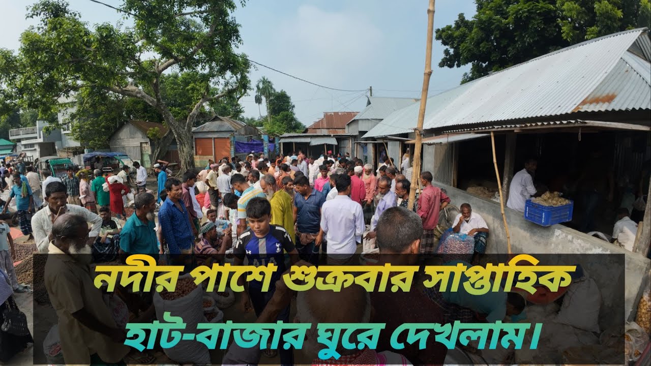 গুঠাইল সাপ্তাহিক হাট-বাজার ঘুরে দেখলাম। Guthail Bazar। Jamalpur। islampur। Saptahik haat।