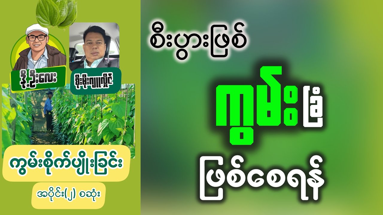 ကွမ်း ပိုးမွှားရောဂါ ကာကွယ်နည်း