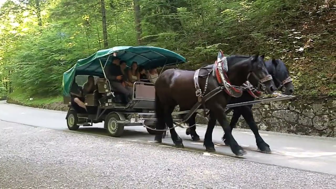 Pferdekutsche am Schlossberg Neuschwanstein