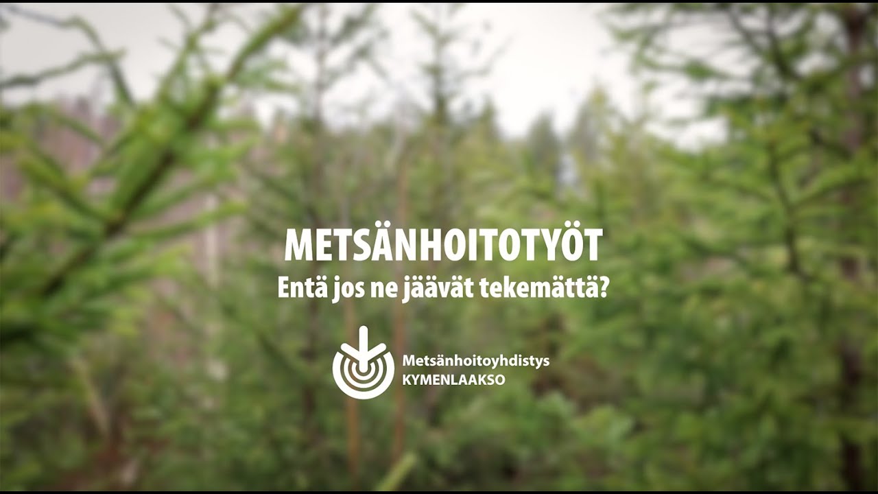 Entä jos metsänhoitotyöt jäävät tekemättä?