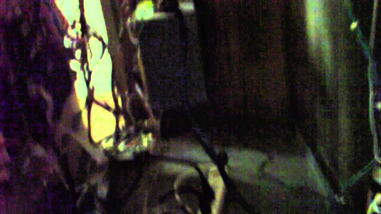 Makvision 25