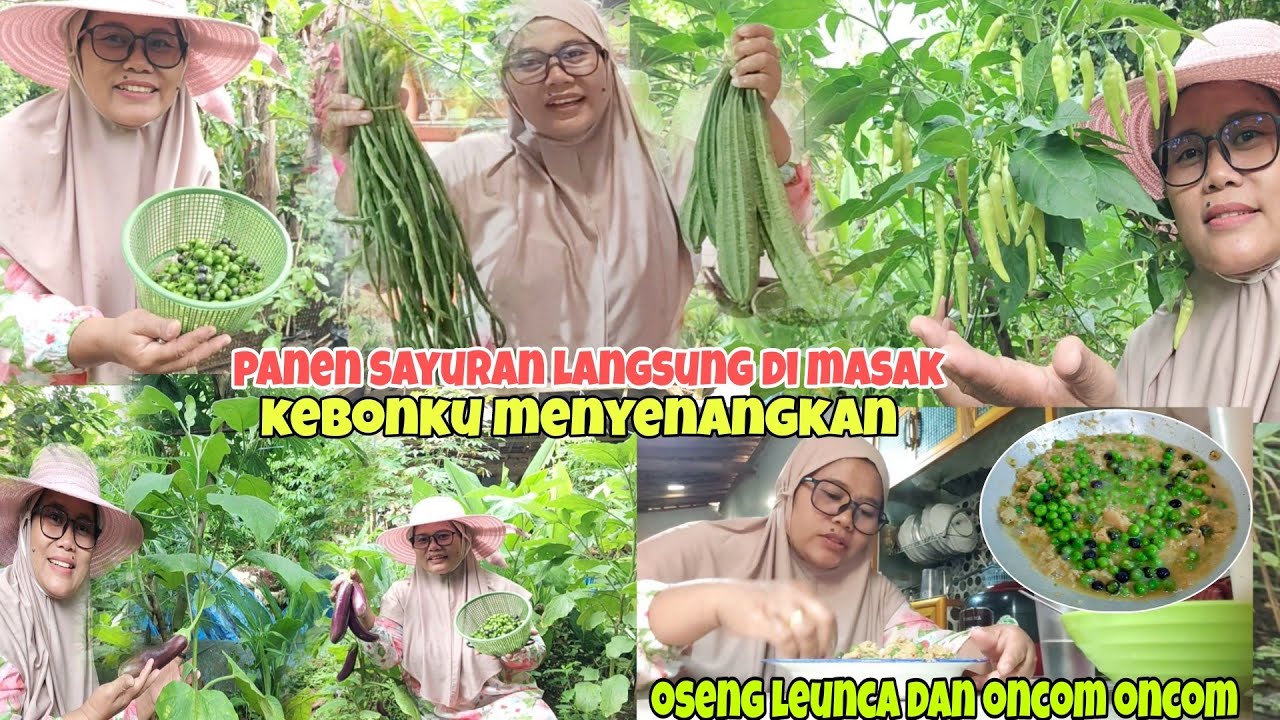 Metik bermacam-macam sayuran langsung di masak ⁉️ Mbak iti vlog 
