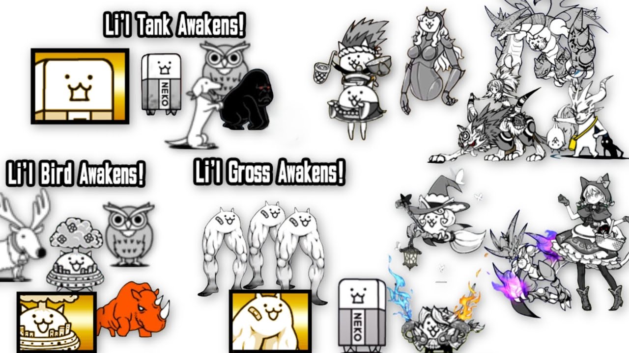 The battle cats #67: True Form và nâng cấp thêm vài con mèo | Đánh bại li'l Tank , Gross và Bird