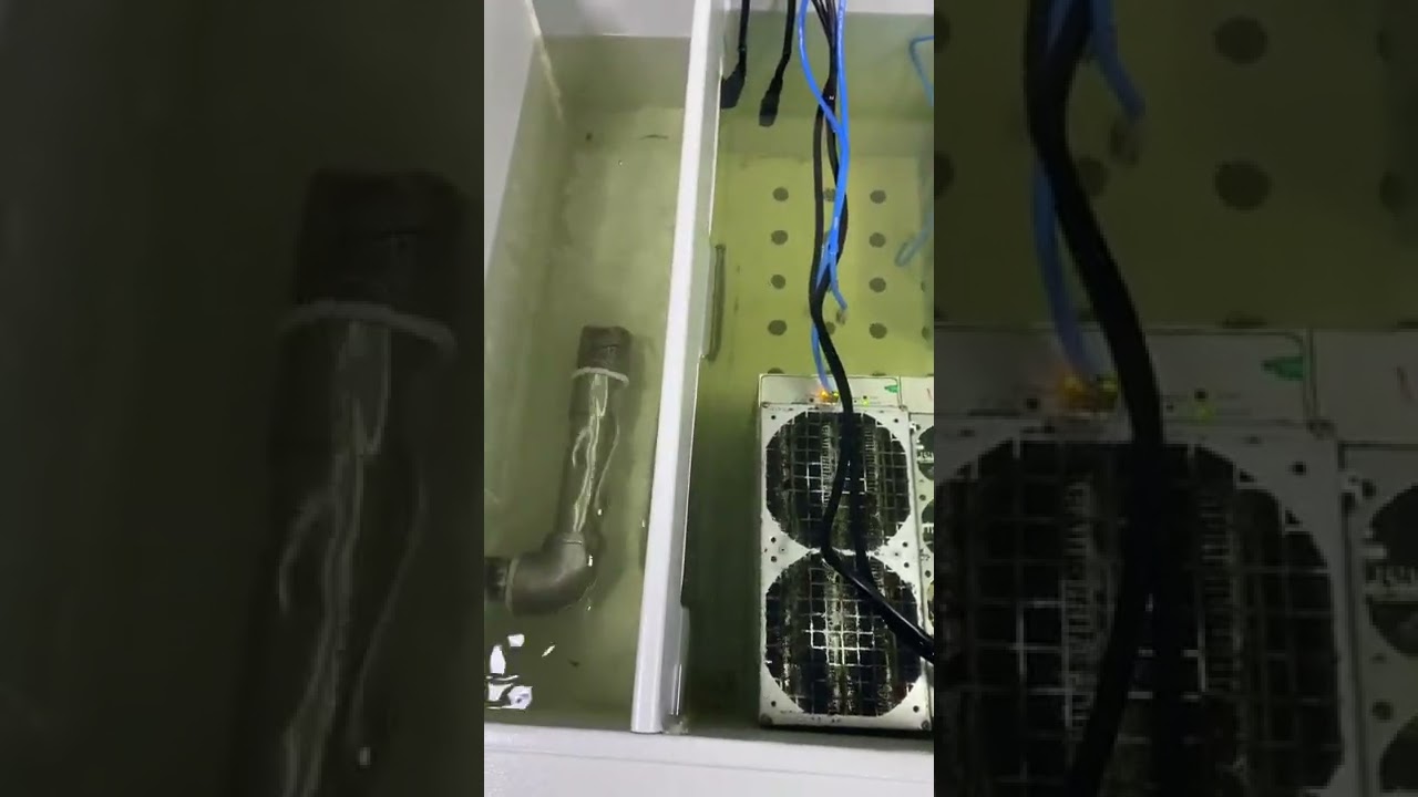 hot seling! Immersion oil cooling equipment#antminer#bitmain#btcusdt