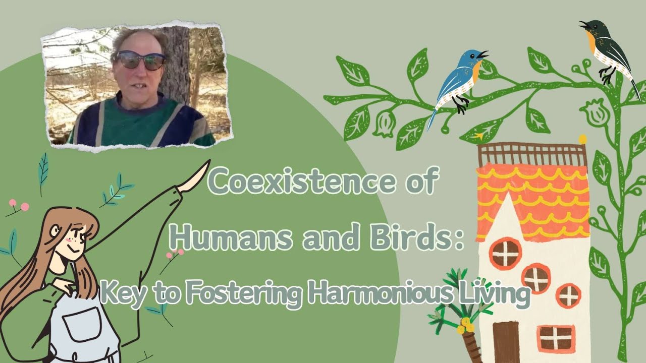 Archive of Nature—Coexistence of Humans and Birds: Key to Fostering Harmonious Living