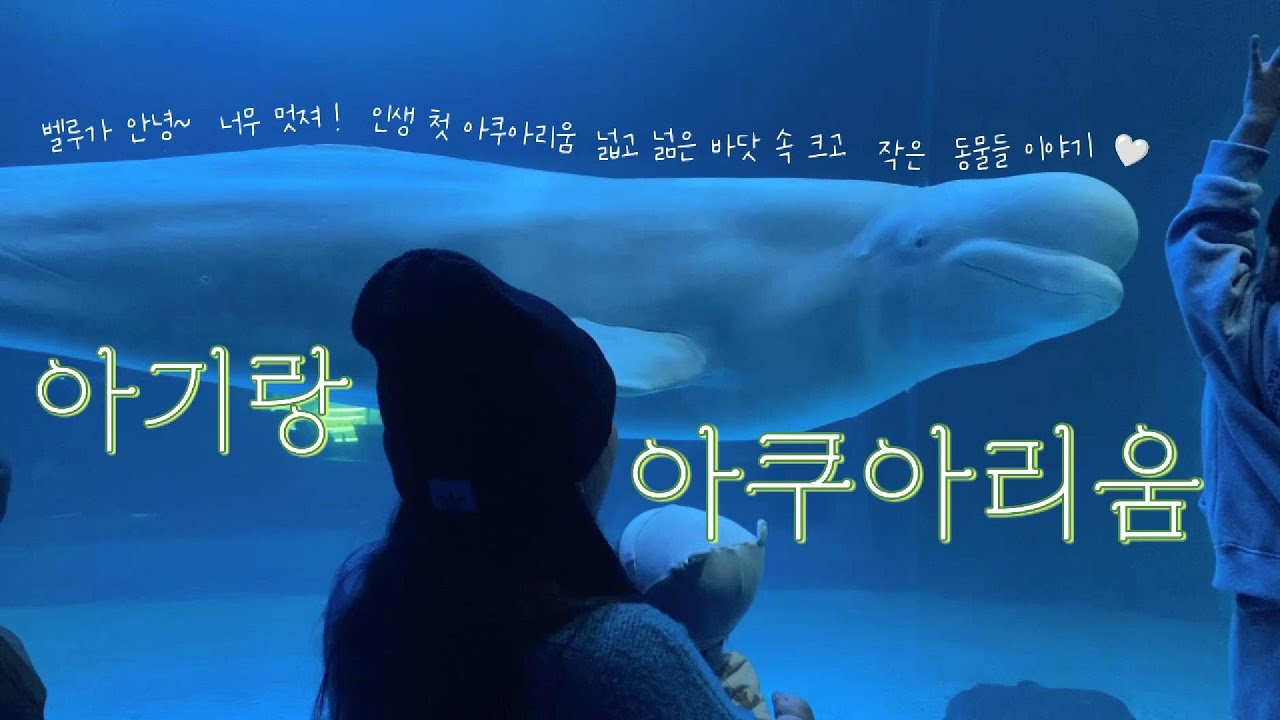 Vlog. 첫 아쿠아리움🐋🩵🐠🦈 | 이빵이랑 물멍하러 가요