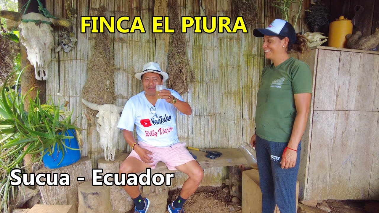 FINCA EL PIURA SUCUA ECUADOR    Recorriendo Rutas Ecuatorianas
