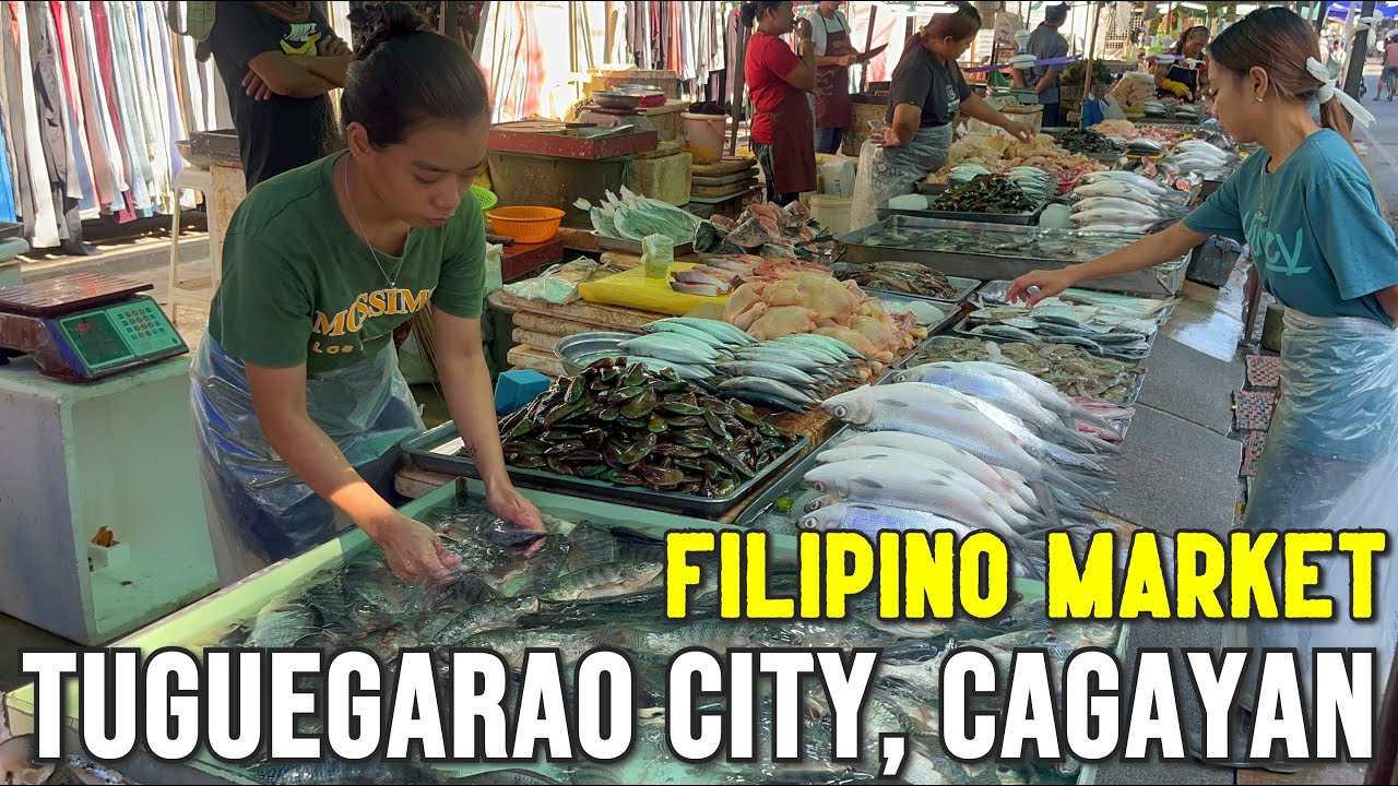 TUGUEGARAO CITY - Palengke Tour 2023 | Visit to Don Domingo & Downtown Marketplace of Tuguegarao!