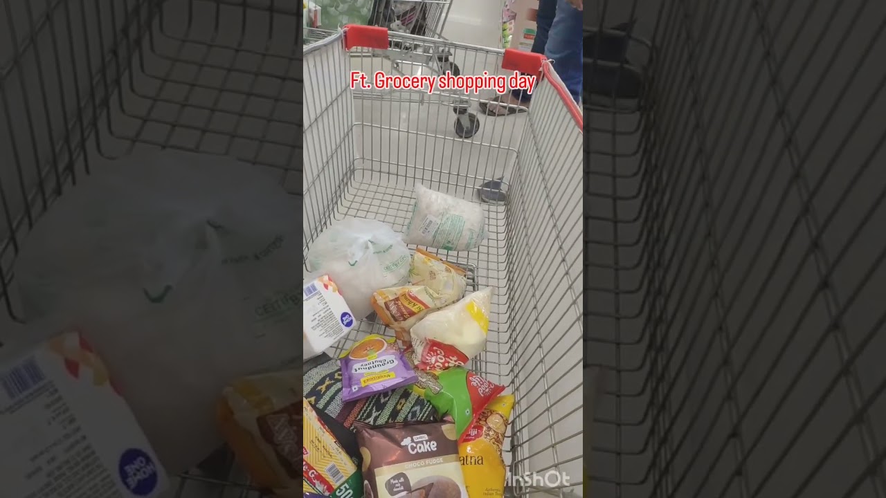 Adult Life In a Nutshell=Grocery Shopping