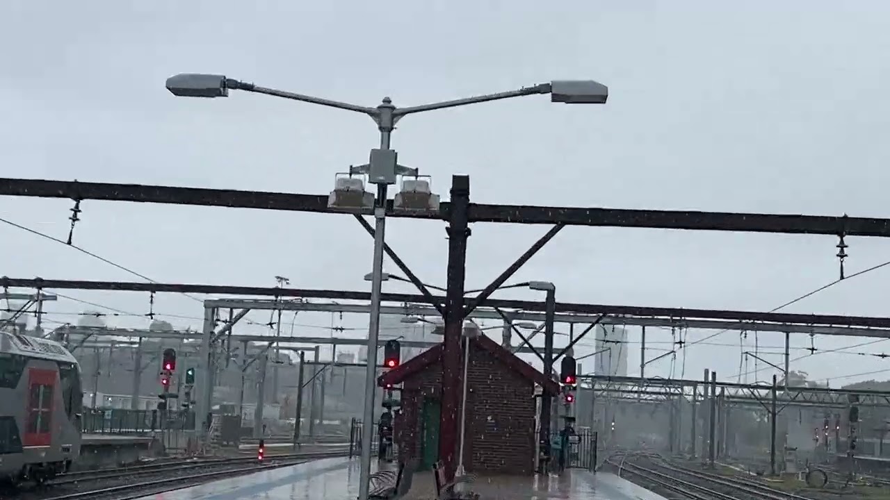 Sharks Train Vlogs 83: Central Intercity