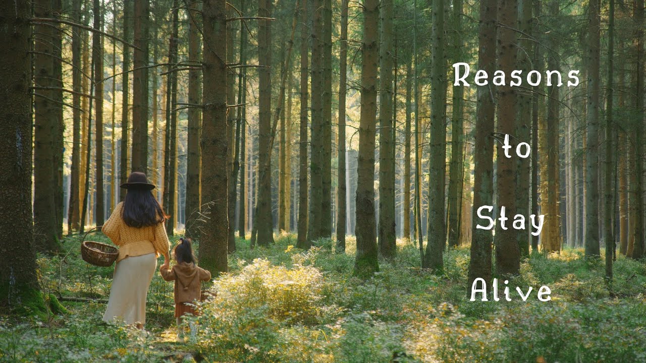 #40 Причины остаться в живых | Reasons to Stay Alive