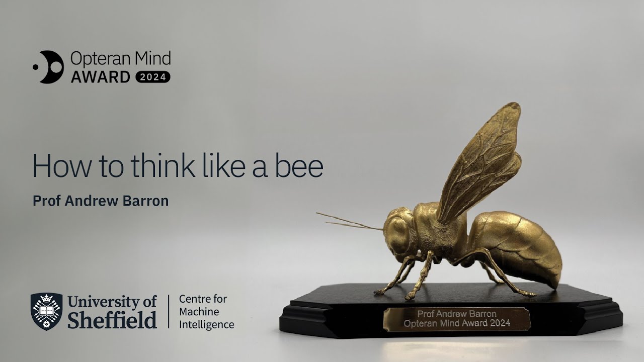 How to think like a bee with Professor Andrew Barron