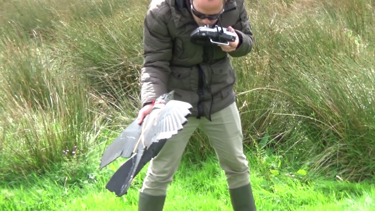 Rocrow hunt.