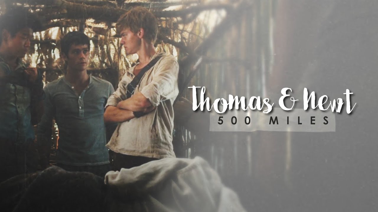 thomas and newt • dream about the time I had with you