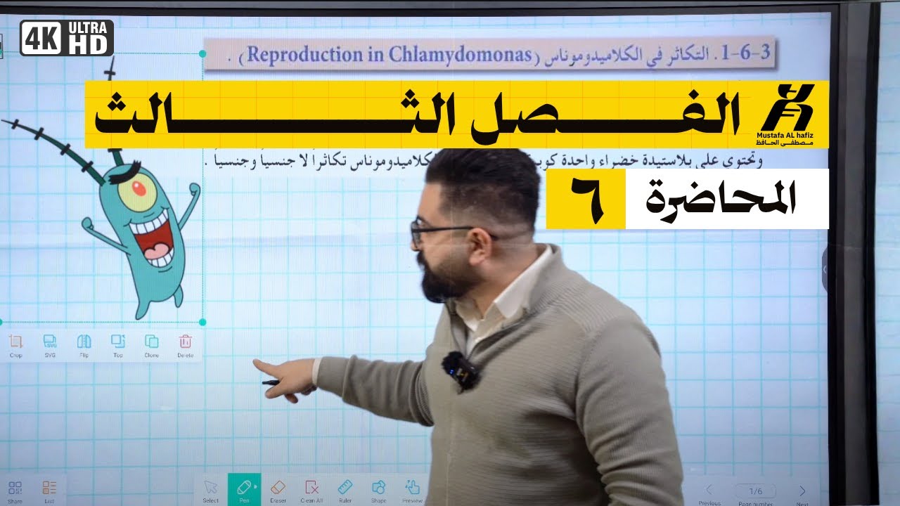 المحاضرة السادسة || الفصل الثالث | التكاثر في الكلاميدوموناس  | 2026