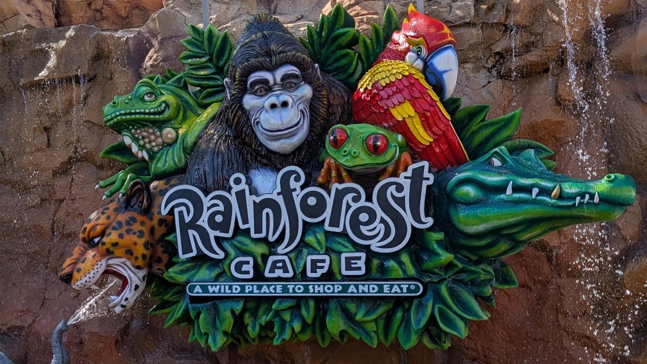 🌴 Rainforest Café Disney Springs  🦜✨