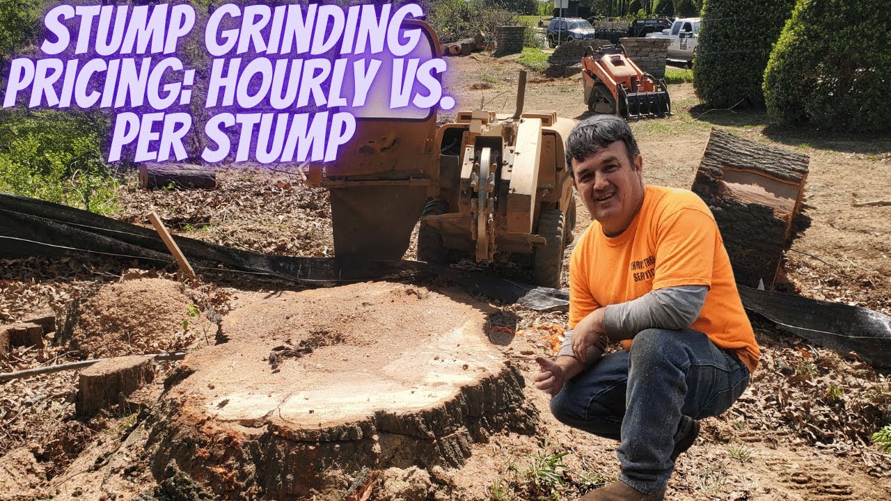Stump Grinding Pricing: Hourly vs. Per Stump