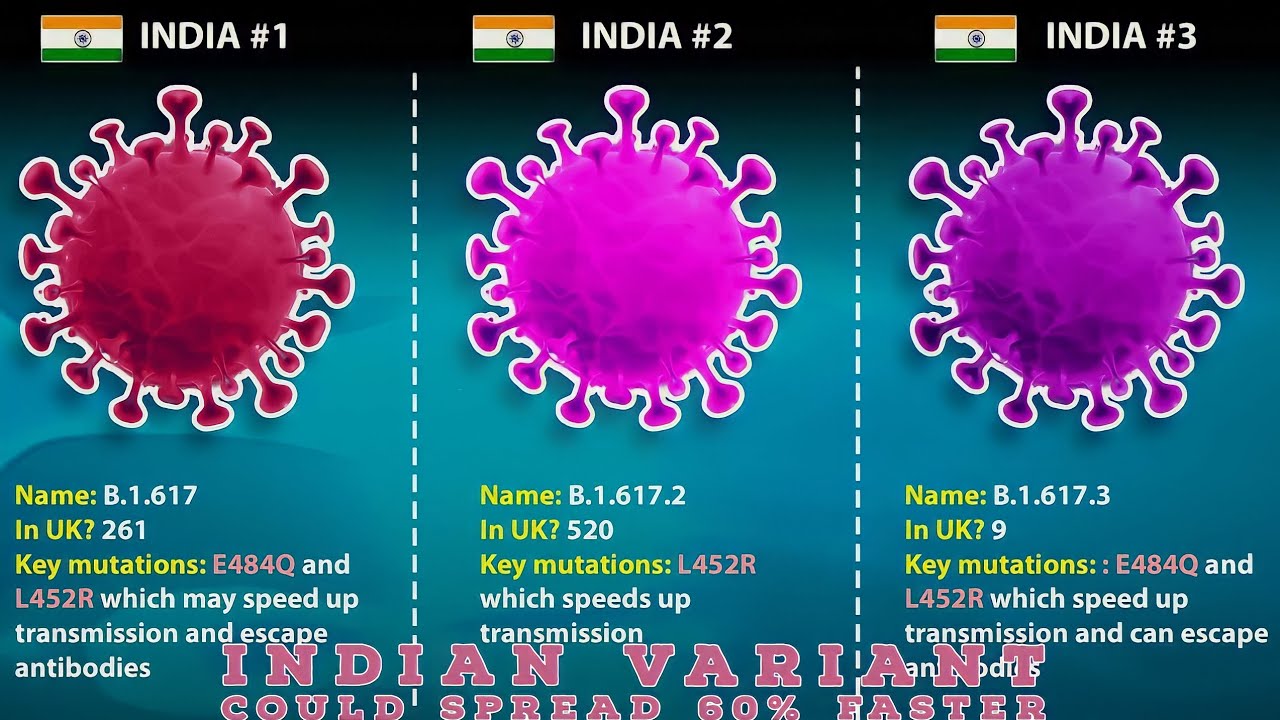 Indian variant could spread 60% faster than the Kent strain, scientist claims after SAGE advisers