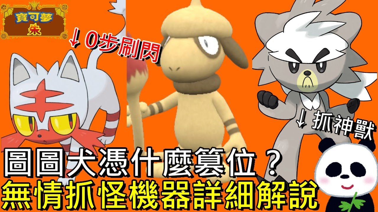 【藍之圓盤DLC】㊙️閃光圖圖犬憑什麼變成抓怪神獸？如何打造實用無情抓怪機器？5種小知識 技能最佳搭配 火斑喵和圖圖犬0步刷色違地點【地方熊貓】寶可夢 朱／紫 ポケモンSV【switch遊戲】