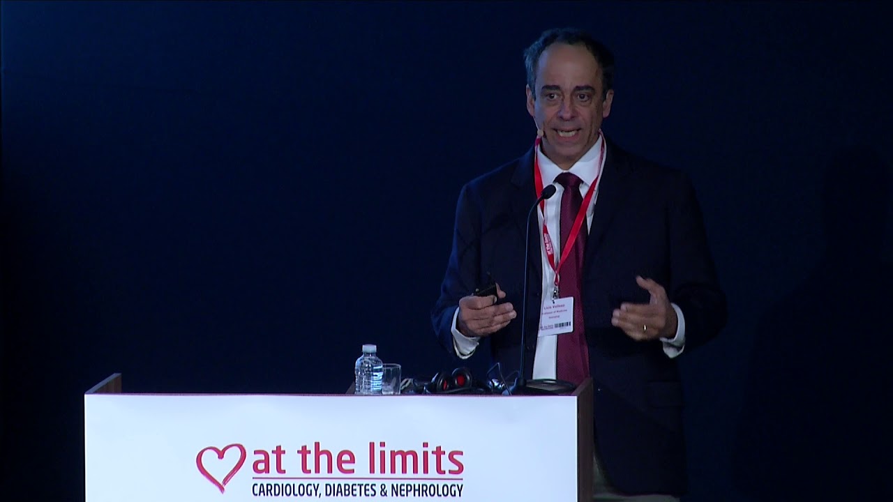Professor Licio Velloso - The central control of obesity
