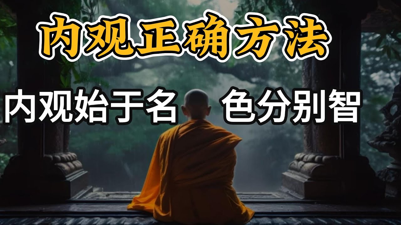 内观的正确方法：内观始于名色分别智.#内观#禅修#冥想 【显密法缘】 【显密法缘】