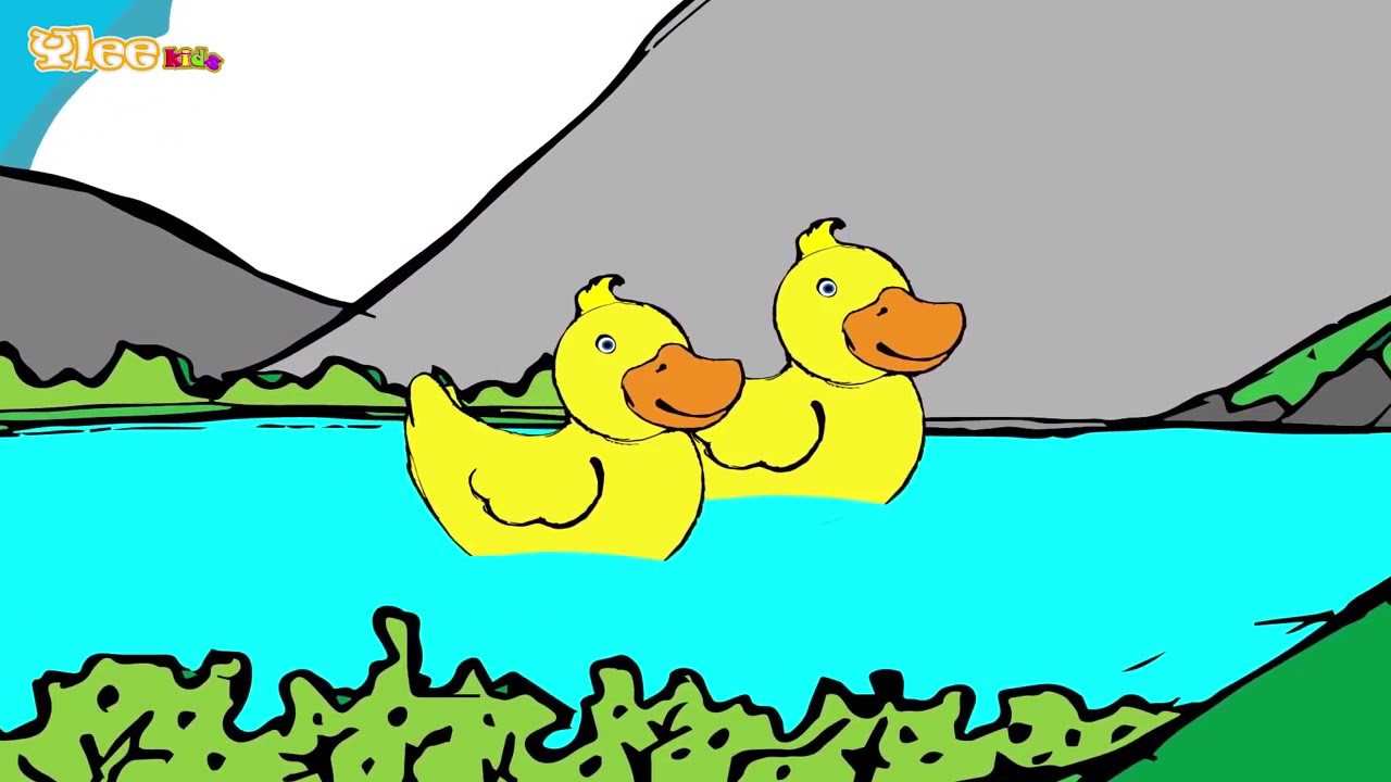 Five Little Ducks - Sing along - YleeKids