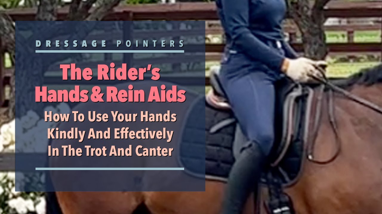 The Rider’s Hands & Rein Aids: How To Use Your Hands Kindly and Effectively In The Trot & Canter