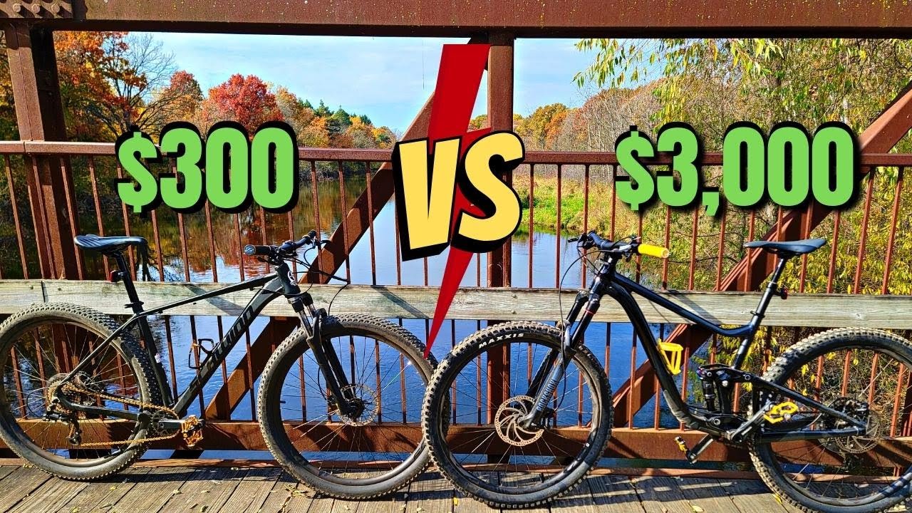 CHEAP Schwinn Axum vs Giant Trance X!! Which one is right for YOU??