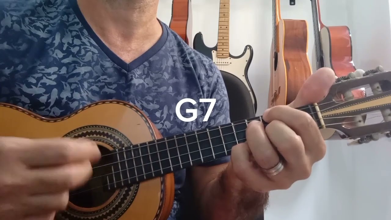 Mistérios do peito (Jorge Aragão) Simplificada