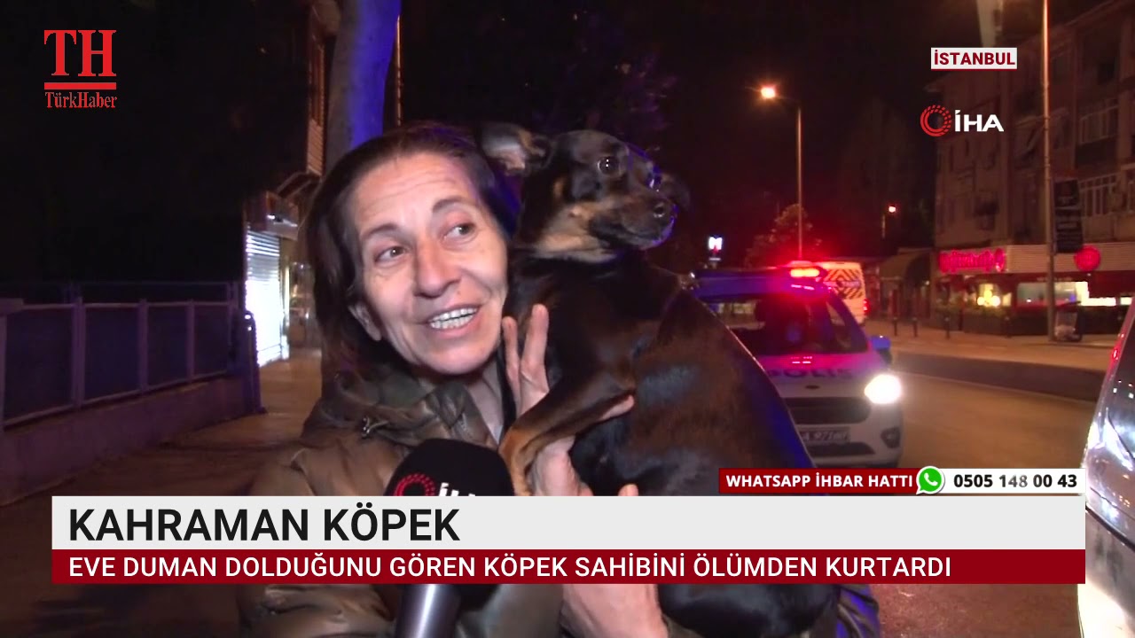KAHRAMAN KÖPEK