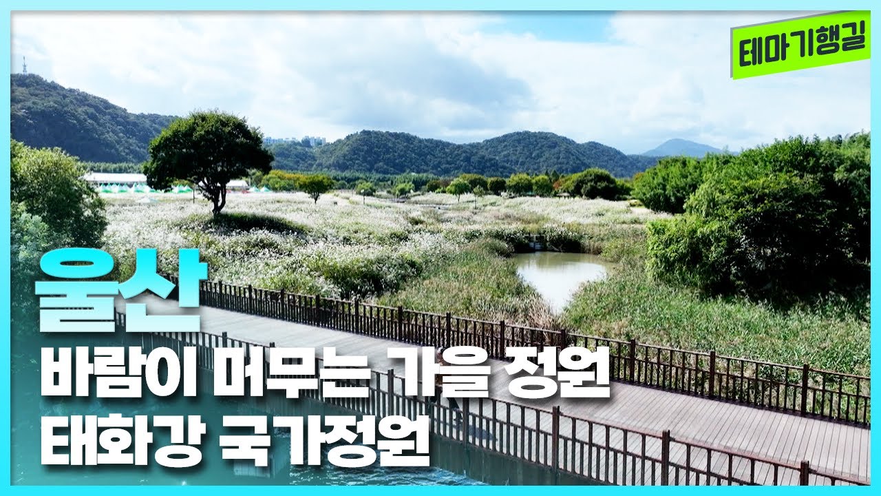 바람이 머무는 가을 정원,태화강 국가정원 | 테마기행길 251114 방송