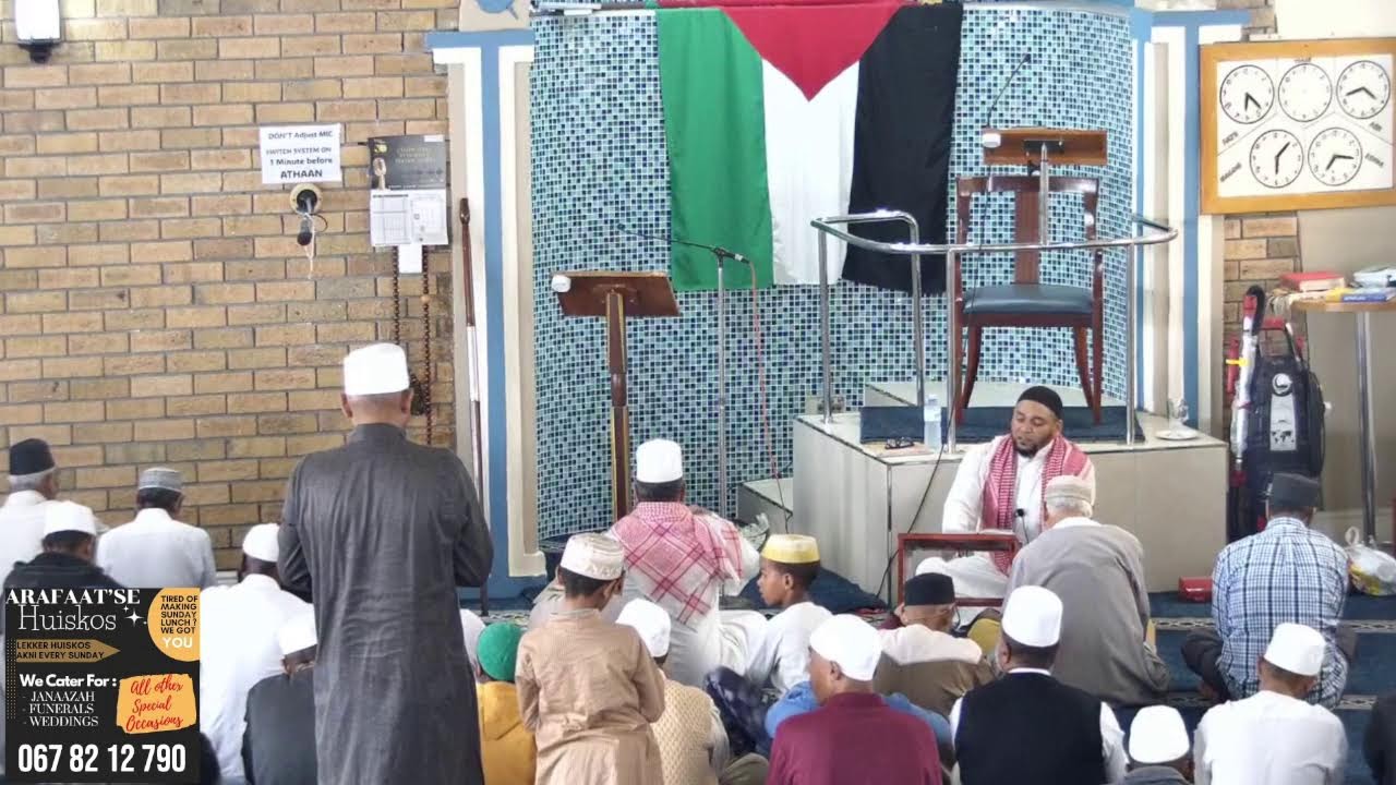 Live Stream