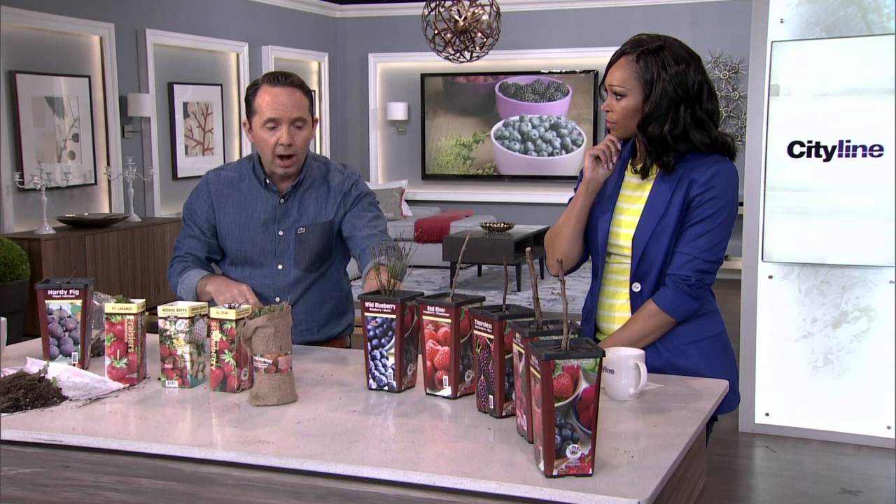 How to grow your own berries at home