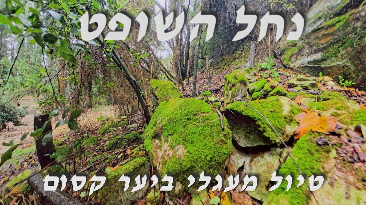 נחל השופט | טיול מעגלי | יער קסום | כל השנה | נחל איתן |רמות מנשה | קיבוץ הזורע | מישמר העמק | יקנעם