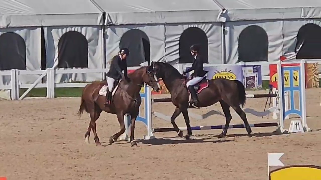2024.g.vasara Gigi Go 105 cm