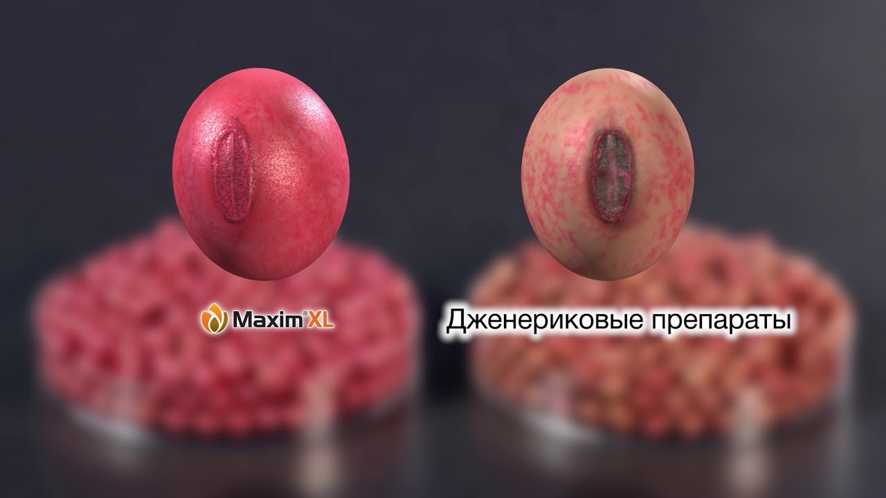 Технология 