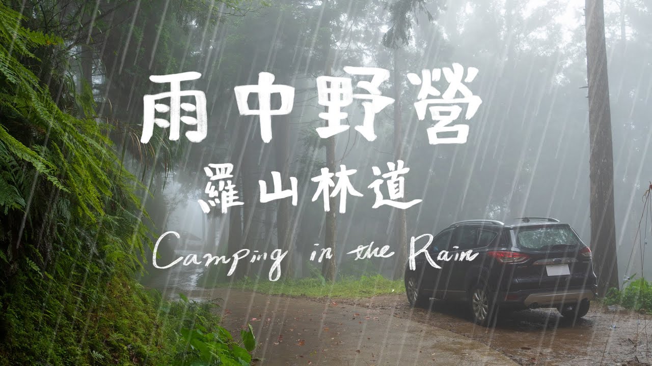 野營vlog｜大雨中野營 | 適合新手的林道野營地｜羅山林道｜雨中露營｜雨の森野営｜4K 高畫質