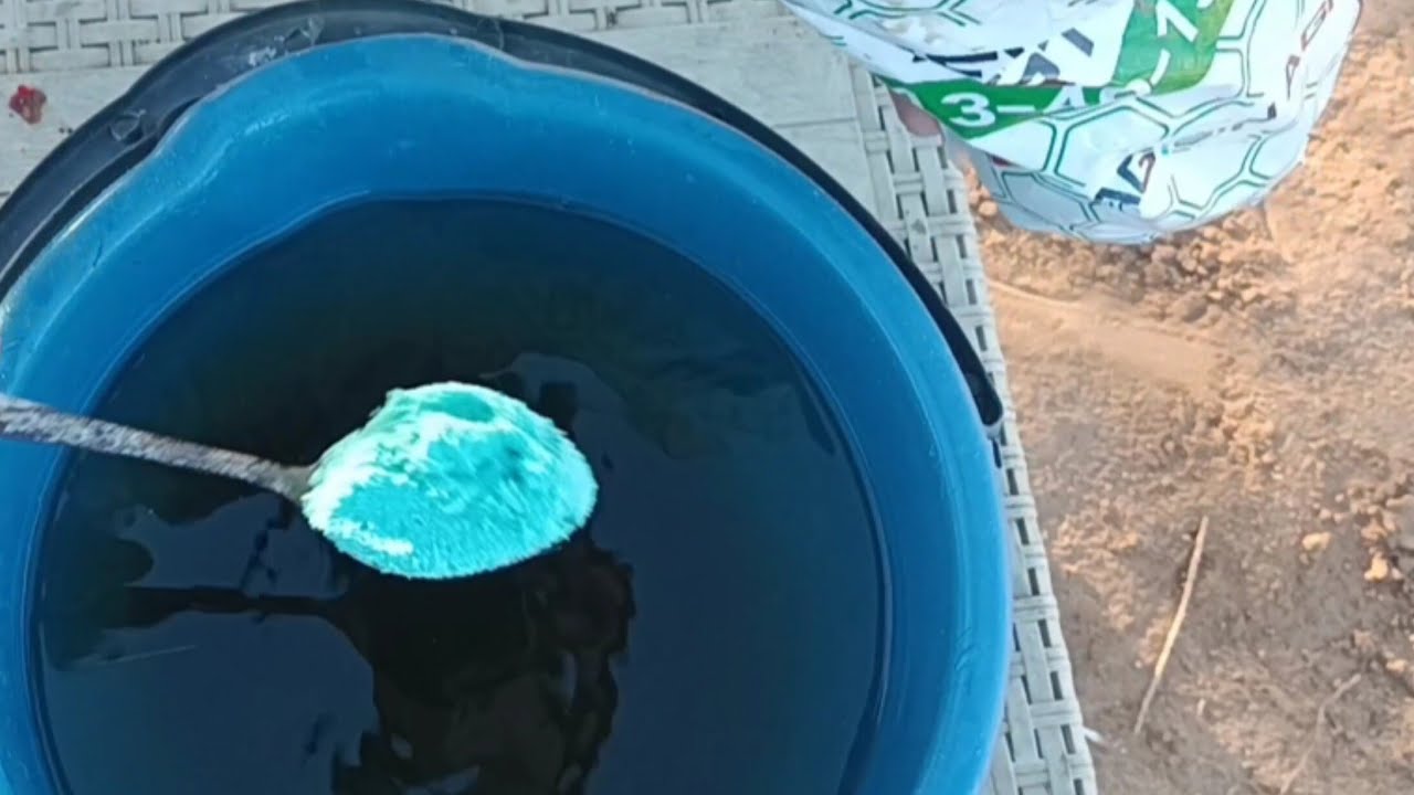 تسميد مهم لنمو الشتلات بعد تحويلها