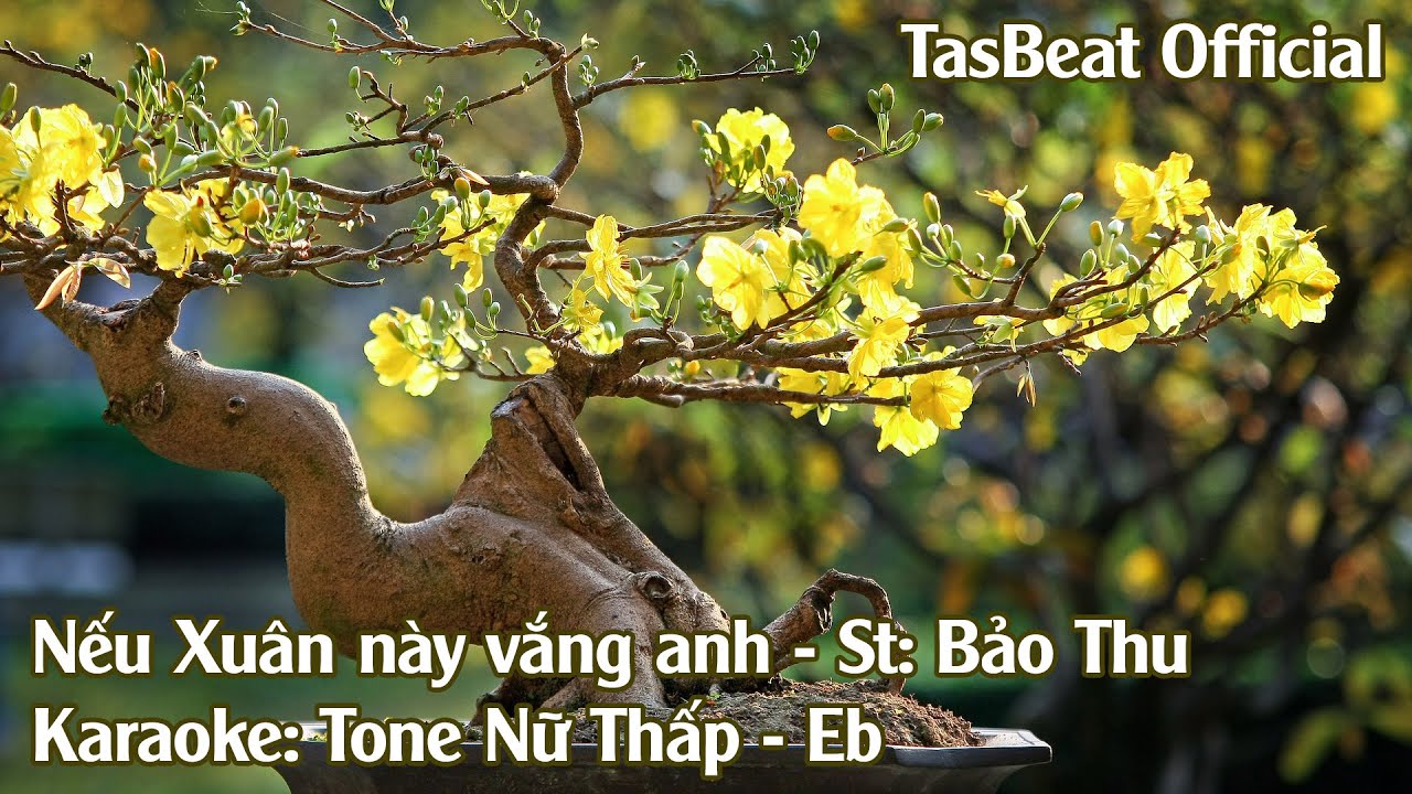 Karaoke Nếu Xuân Này Vắng Anh - Tone Nữ Thấp | TAS BEAT