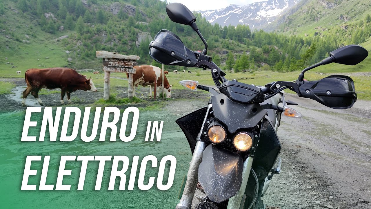 ZERO FX 2021 ⚡ in prova tra i boschi: ENDURO silenzioso e DIVERTENTE